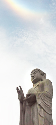 banner_img01